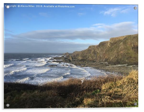 Hartland North Devon Acrylic by Alexia Miles