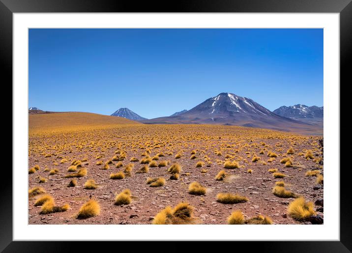 Atacama Desert Framed Mounted Print by David Hare