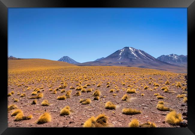 Atacama Desert Framed Print by David Hare