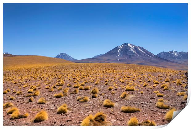 Atacama Desert Print by David Hare