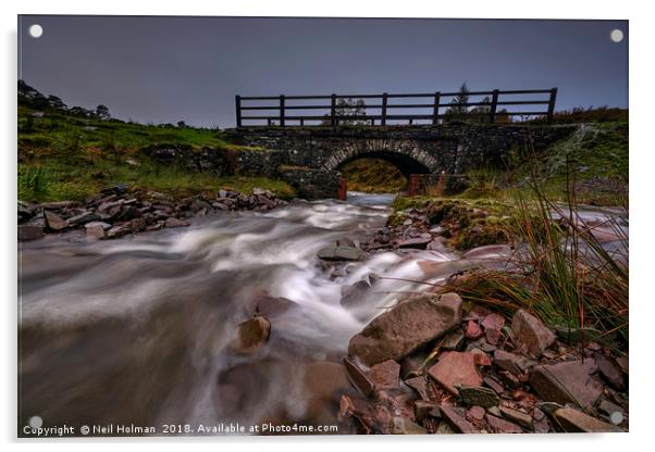Valley Bridge in the Brecon Beacons  Acrylic by Neil Holman