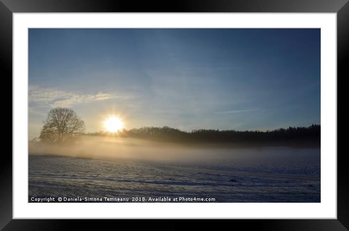 Snowy fields in a foggy morning Framed Mounted Print by Daniela Simona Temneanu