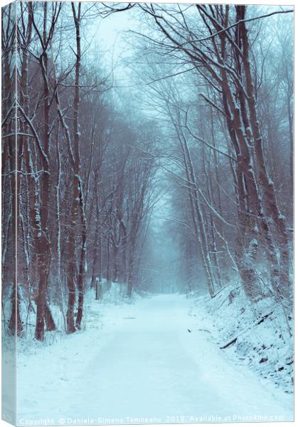 Forest road covered in snow Canvas Print by Daniela Simona Temneanu