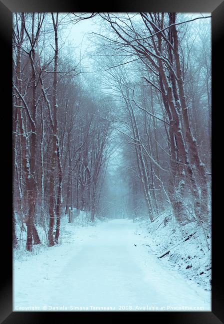 Forest road covered in snow Framed Print by Daniela Simona Temneanu