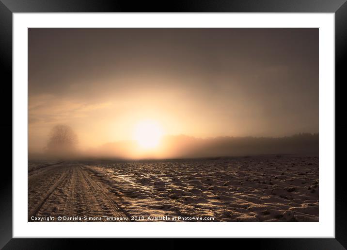 Winter road covered with snow at sunrise Framed Mounted Print by Daniela Simona Temneanu