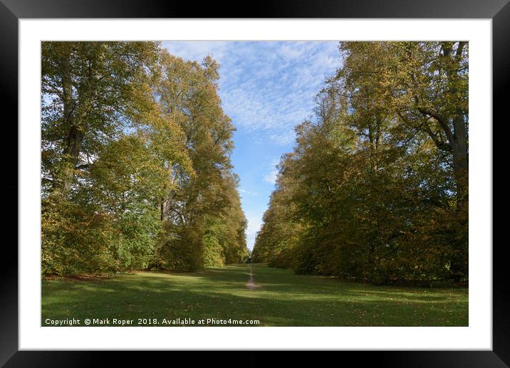 Autumn Lime Avenue at Nowton Park Framed Mounted Print by Mark Roper