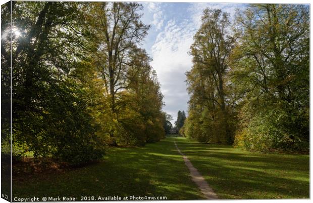 Lime Avenue path with house at Nowton Park in autu Canvas Print by Mark Roper