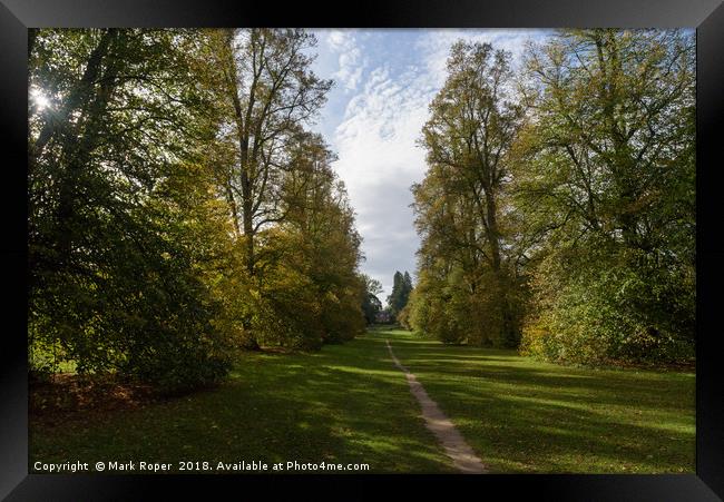 Lime Avenue path with house at Nowton Park in autu Framed Print by Mark Roper
