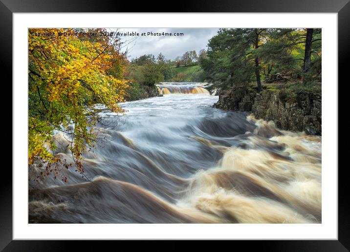 Low Force Autumn Flood Framed Mounted Print by David Forster