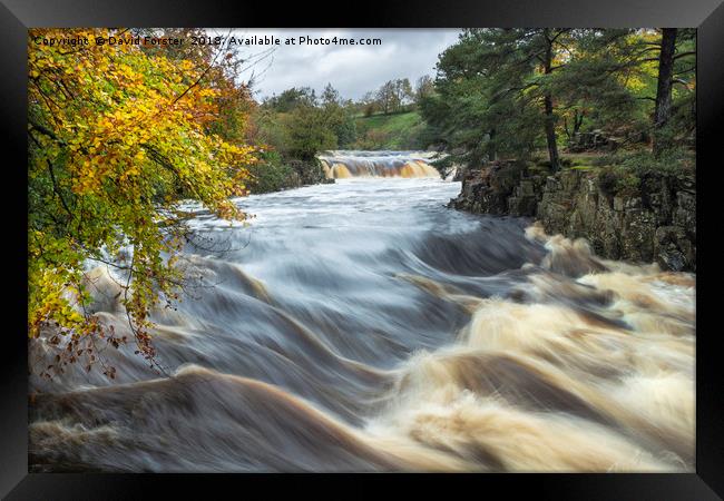 Low Force Autumn Flood Framed Print by David Forster