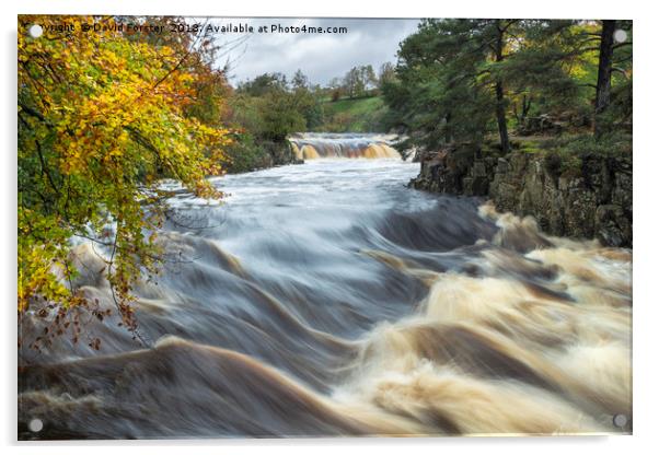 Low Force Autumn Flood Acrylic by David Forster
