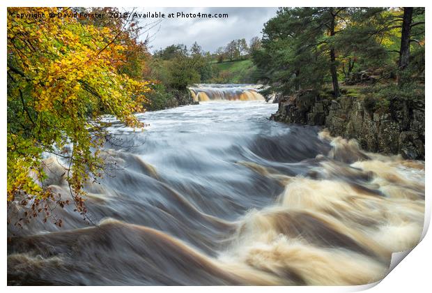 Low Force Autumn Flood Print by David Forster