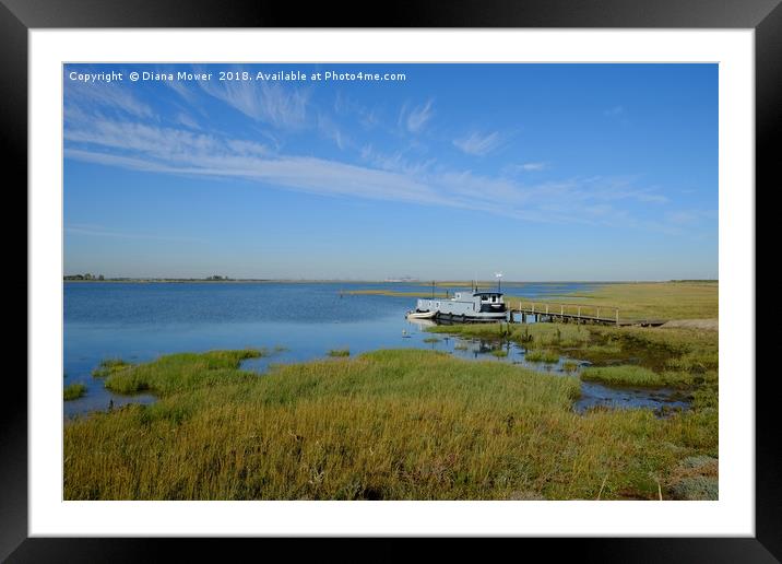 The Walton Backwaters, Essex. Framed Mounted Print by Diana Mower