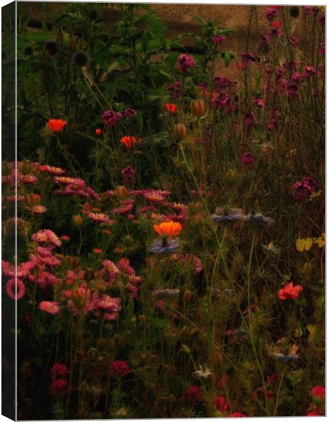 Enchanting Blooms at Night Canvas Print by Beryl Curran