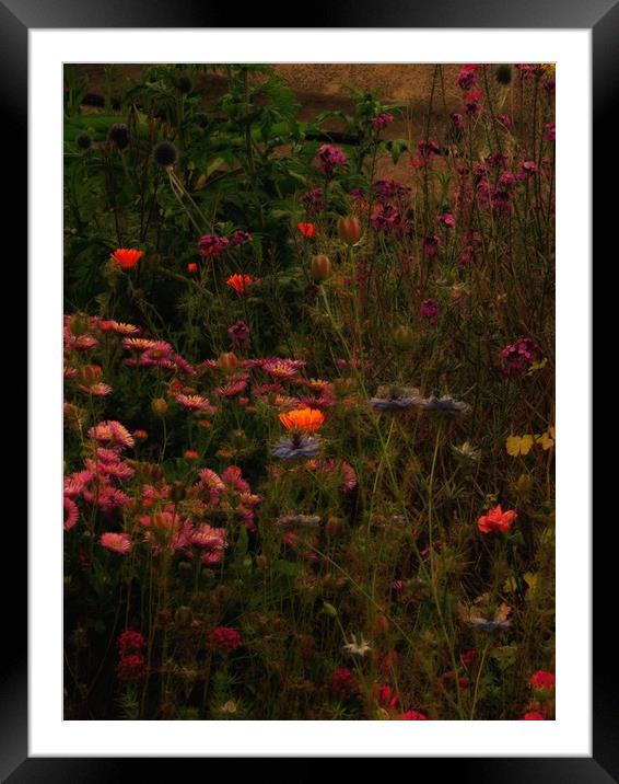 Enchanting Blooms at Night Framed Mounted Print by Beryl Curran