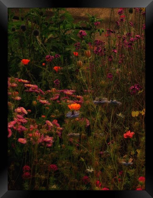 Enchanting Blooms at Night Framed Print by Beryl Curran