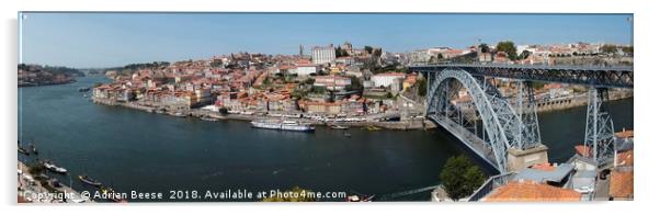 Porto and the River Douro Acrylic by Adrian Beese