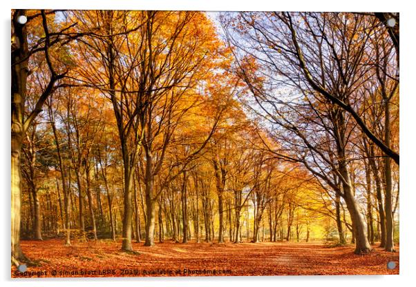 Ancient woodland in full autumn fall colors Acrylic by Simon Bratt LRPS