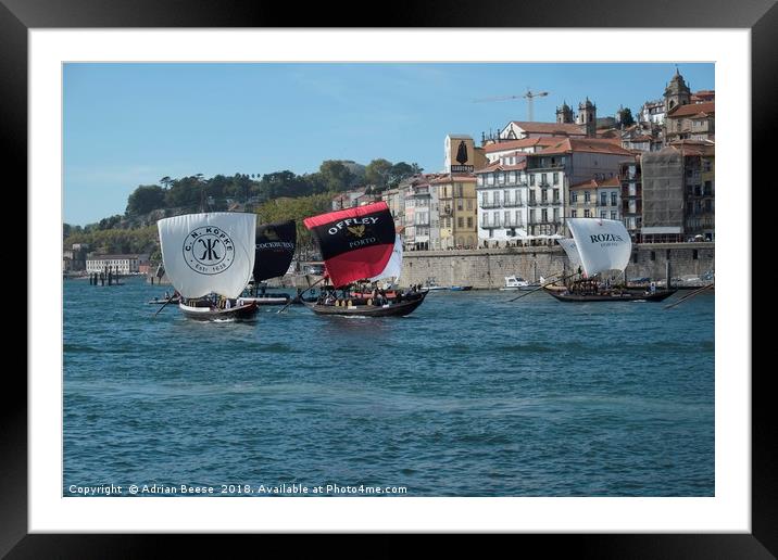 Porto Sailing Regatta on the river Douro Framed Mounted Print by Adrian Beese