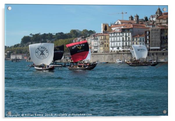 Porto Sailing Regatta on the river Douro Acrylic by Adrian Beese