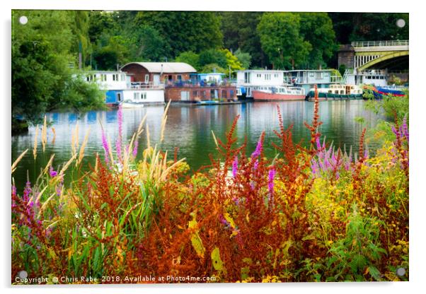 Colourful Richmond riverside along the Thames Acrylic by Chris Rabe