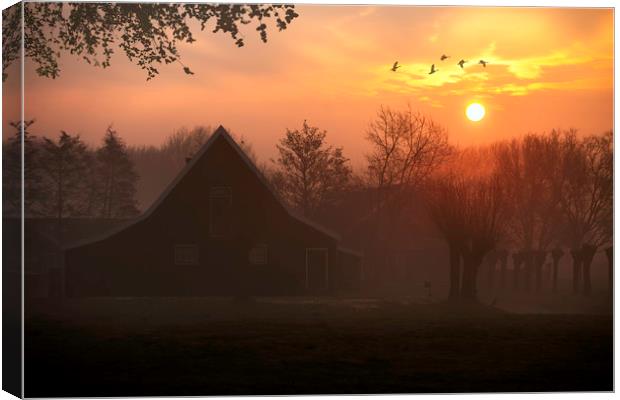 Geese flying at the sunrise in Zaanse Schans, Neth Canvas Print by Ankor Light