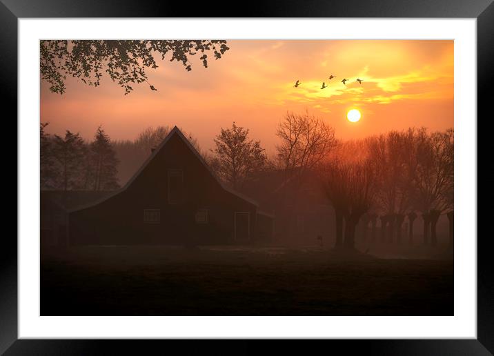 Geese flying at the sunrise in Zaanse Schans, Neth Framed Mounted Print by Ankor Light
