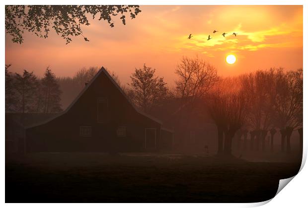 Geese flying at the sunrise in Zaanse Schans, Neth Print by Ankor Light
