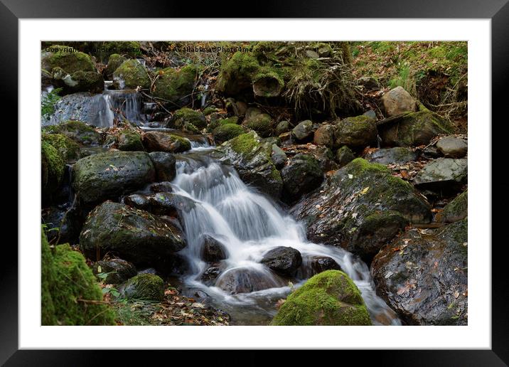 GENTLE FALLS Framed Mounted Print by andrew saxton