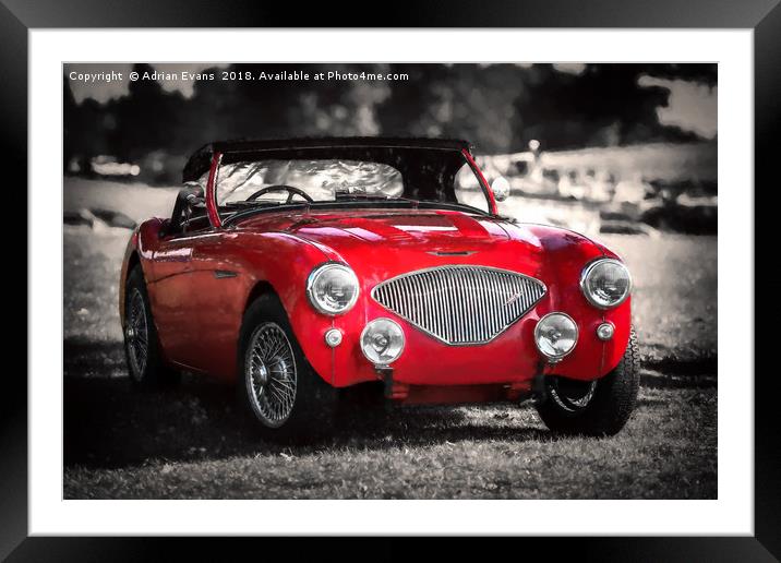 Austin Healey 100 Framed Mounted Print by Adrian Evans