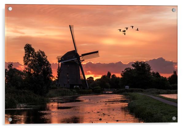 Group of duck flying over a windmill at the warm a Acrylic by Ankor Light