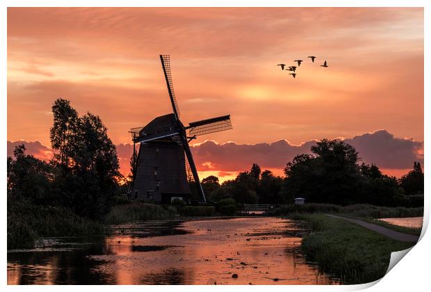 Group of duck flying over a windmill at the warm a Print by Ankor Light