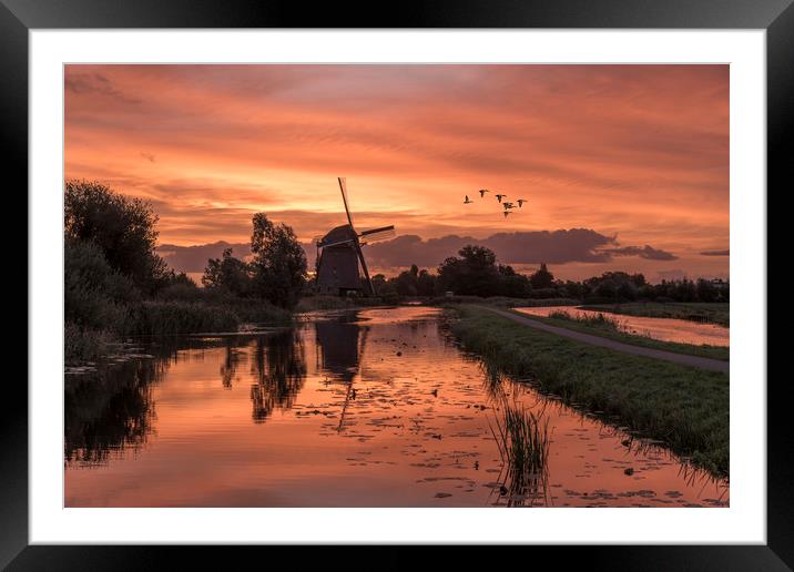 Group of duck flying over a windmill at the warm a Framed Mounted Print by Ankor Light