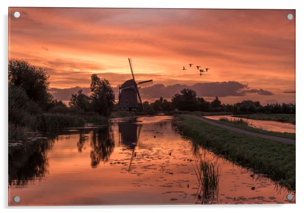 Group of duck flying over a windmill at the warm a Acrylic by Ankor Light
