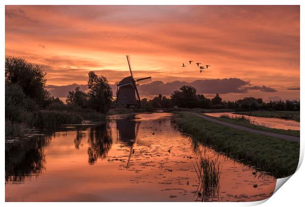 Group of duck flying over a windmill at the warm a Print by Ankor Light