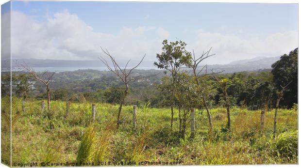 Costa Rican Countryside   Canvas Print by Carole-Anne Fooks
