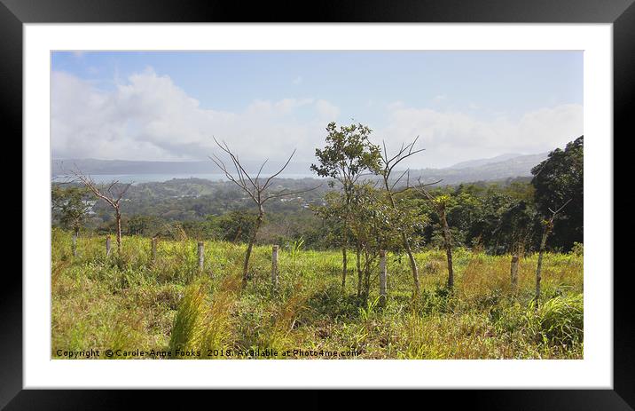 Costa Rican Countryside   Framed Mounted Print by Carole-Anne Fooks