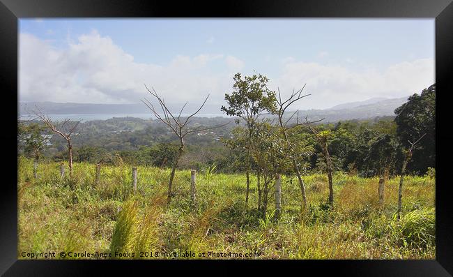 Costa Rican Countryside   Framed Print by Carole-Anne Fooks