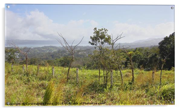 Costa Rican Countryside   Acrylic by Carole-Anne Fooks