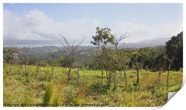 Costa Rican Countryside   Print by Carole-Anne Fooks