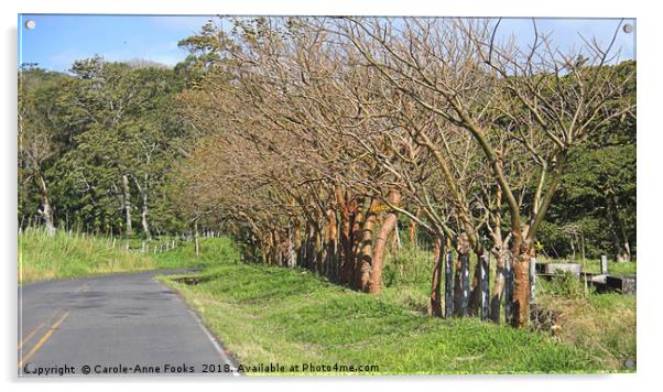 Mature Living Fence Acrylic by Carole-Anne Fooks