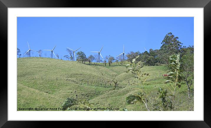 Costa Rican Countryside  Framed Mounted Print by Carole-Anne Fooks