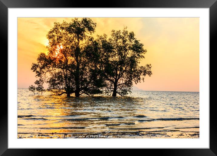 Mangrove sunrise Framed Mounted Print by Kevin Hellon