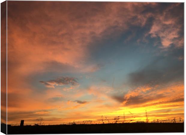 Heart in the clouds Canvas Print by Mark Williams