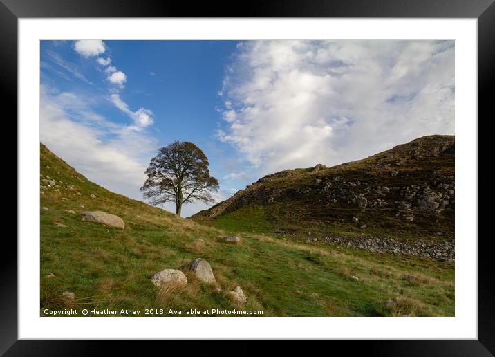 Sycamore Gap, Hadrian's Wall, Northumberland Framed Mounted Print by Heather Athey