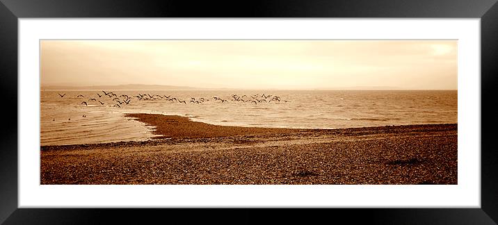 The Birds Have Flown Framed Mounted Print by Louise Godwin