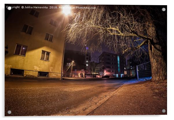 Branches Over The Street Acrylic by Jukka Heinovirta