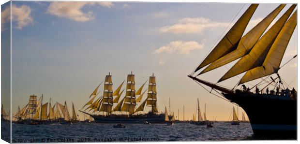 Tall Ships, Falmouth, Cornwall Canvas Print by Roz Collins