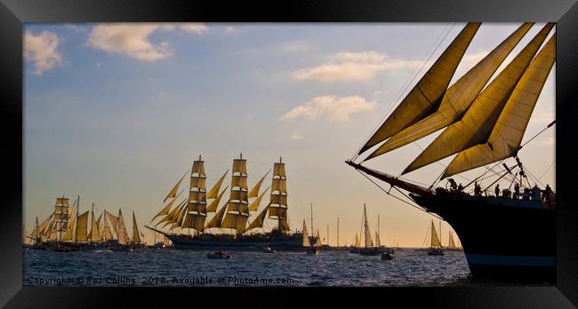 Tall Ships, Falmouth, Cornwall Framed Print by Roz Collins
