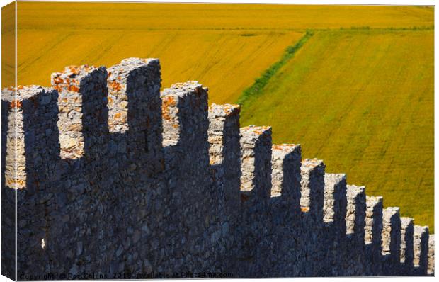 Castelo do Montemor-o-Velho Above the Rice Fields Canvas Print by Roz Collins
